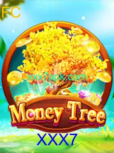 Descobrindo o Mundo de MoneyTree
